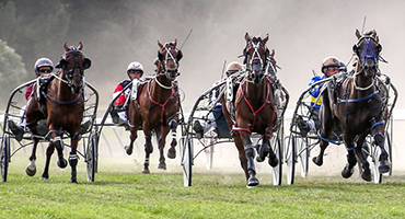 Getting Started | Harness Racing New Zealand