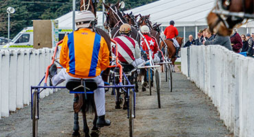 Racing Information | Harness Racing New Zealand