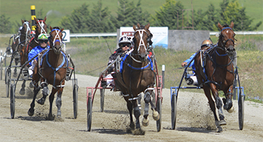 Club Info & Venues | Harness Racing New Zealand