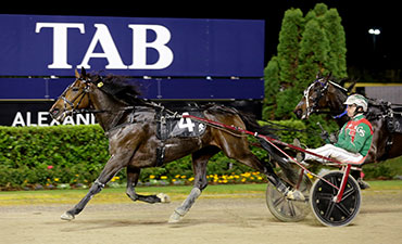 Just Believe National trot alex park may 2024 card