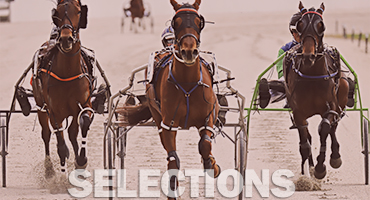 Race Selections generic card