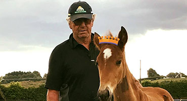 Rod MacKenzie and horse card
