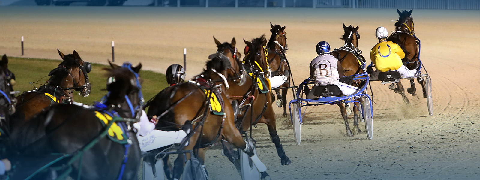 HRNZ | Harness Racing New Zealand