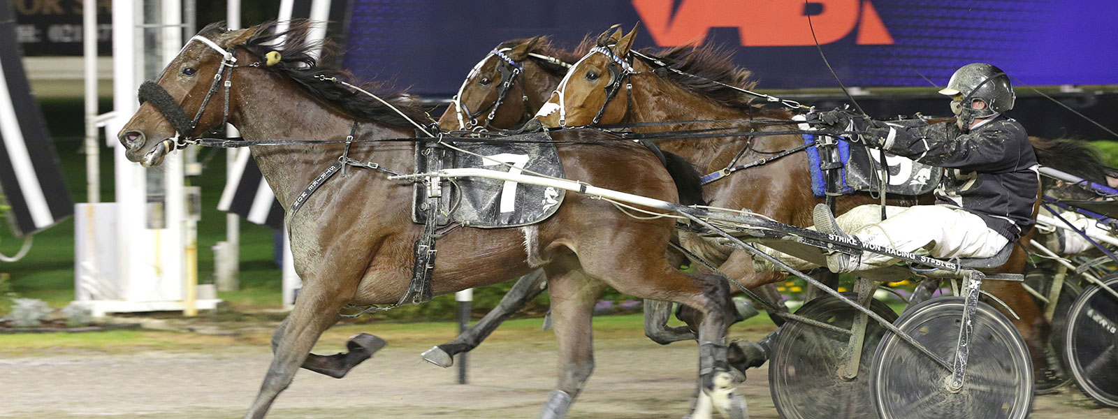 First Group 1 for Tony Cameron in Northern Trotting Derby