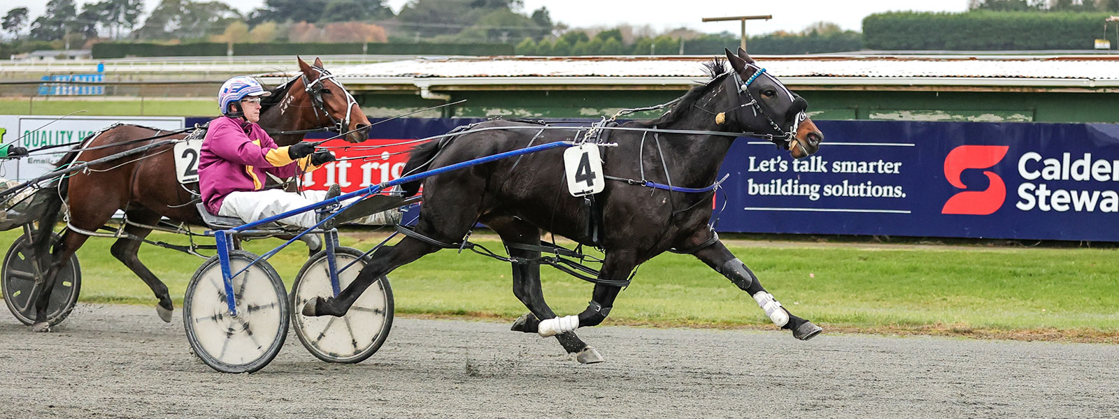 HRNZ | Harness Racing New Zealand